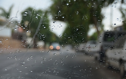 גשם ירד בכפר סבא, ואצלכם?  (צילום: אורי זקהם) (צילום: אורי זקהם)