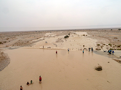 השיטפון באזור הערבה (צילום: עמי שחם) (צילום: עמי שחם)