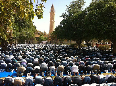 תפילה המונית במסגד (צילום: סארי אבו סעלוק) (צילום: סארי אבו סעלוק)