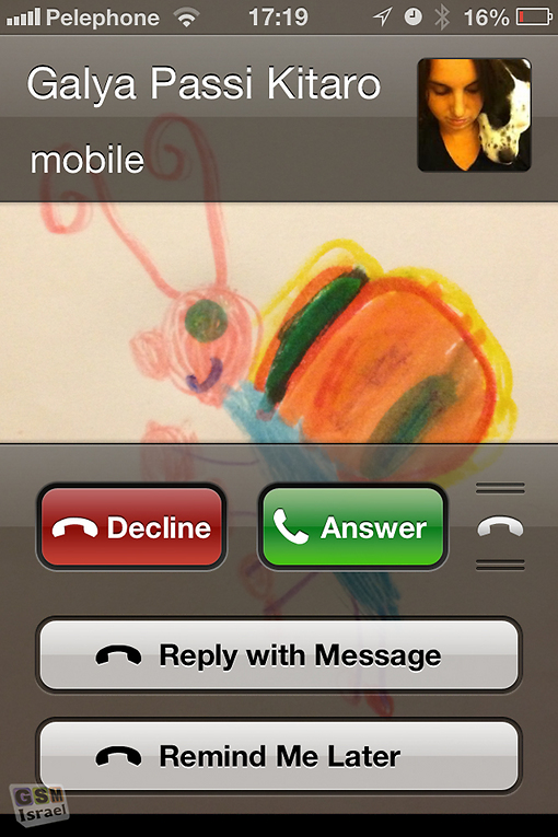 (צילום: GSM) (צילום: GSM)