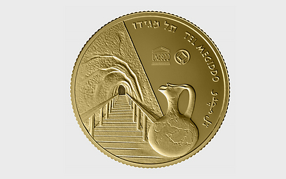 צלום: אלי גרוס, קרן אור צלום: אלי גרוס, קרן אור