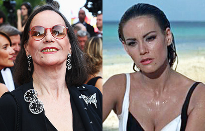 צילום: gettyimages צילום: gettyimages