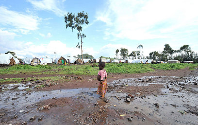 כחצי מיליון איש נאלצו לעזוב את בתיהם. מחנה עקורים בגומא, קונגו (צילום: AFP) (צילום: AFP)
