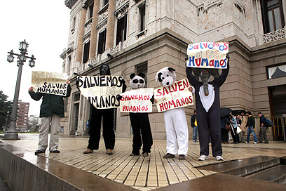 מפגינים נגד הפלות באורוגוואי, היום (צילום: EPA) (צילום: EPA)