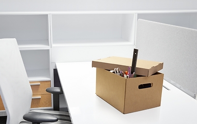 צילום: shutterstock צילום: shutterstock