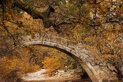גשר עותמאני בשלכת (צילום: דובי טל, אלבטרוס) (צילום: דובי טל, אלבטרוס)
