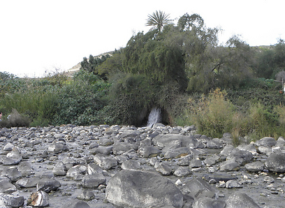 צילום: דר' ירון זפרן צילום: דר' ירון זפרן