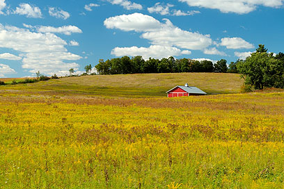 המועמדים לא מוותרים בקלות על "המדינה המתנדנדת". חווה באוהיו (צילום: shutterstock) (צילום: shutterstock)
