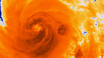 צילום אינפרא אדום של "סנדי" (צילום: EPA) (צילום: EPA)