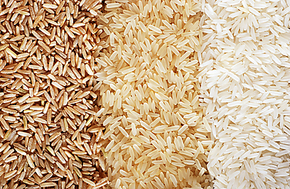 אורז מלא הוא מקור לא אכזב לסידן (צילום: Sutterstock) (צילום: Sutterstock)