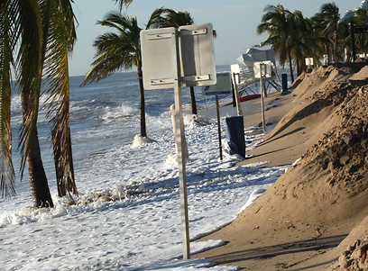 גם פלורידה סערה (צילום: MCT) (צילום: MCT)