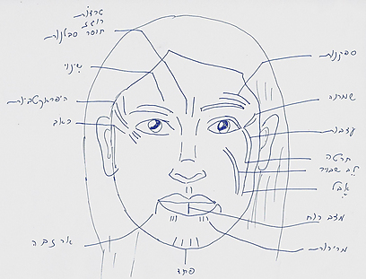 איור: שרונה פומס איור: שרונה פומס
