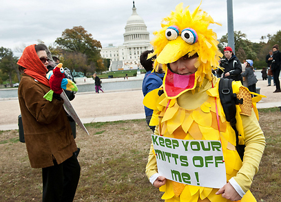 הפגנת מחאה של אוהדי Big Bird, הדמות מ"רחוב סומסום" האמריקני, נגד כוונתו של רומני לקצץ בתקציב השידור הציבורי (צילום: AFP) (צילום: AFP)