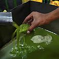 New venture. Freshly-pressed olive oil 