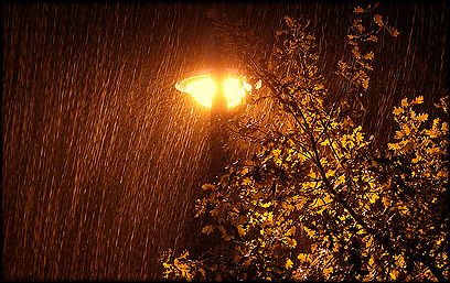 גשם אמש בחדרה (צילום: שלומי בן דויד) (צילום: שלומי בן דויד)