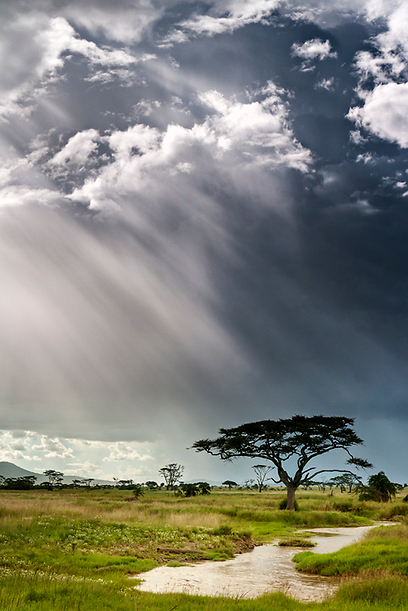 העמקת צבע השמיים ע"י פולרייזר, הסרנגטי בטנזניה (צילום: תומר רצאבי, גליץ) (צילום: תומר רצאבי, גליץ)