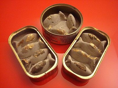 צילום: שרון פזנר צילום: שרון פזנר