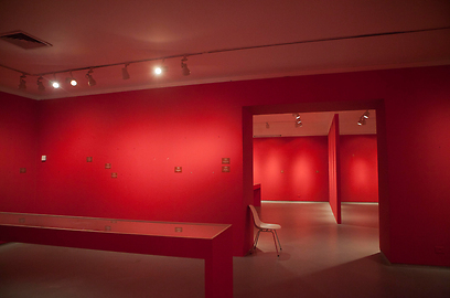 הקירות החשופים בתערוכת שושלת ברויגל במוזיאון תל אביב (צילום: AP) (צילום: AP)
