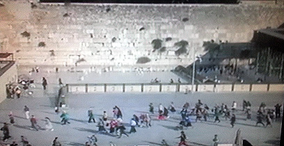 (צילום:  ליאת קלר)