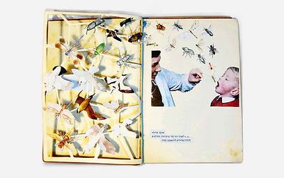 ספר בעיצובו של ירון שטיינברג (צילום: ירון שטיינברג) (צילום: ירון שטיינברג)
