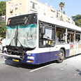 צילום: עופר עמרם