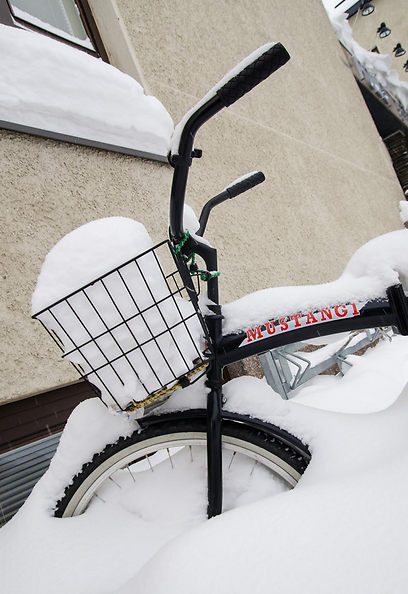 אופניים קבורים בשלג (צילום: זיו שנהב, גליץ) (צילום: זיו שנהב, גליץ)