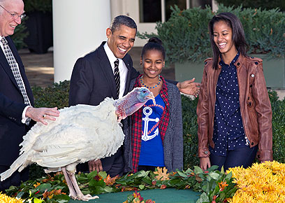 הנשיא ובנותיו סשה ומאליה צופים בקובלר, תרנגול ההודו שיזכה לחיים ארוכים (צילום: AP) (צילום: AP)