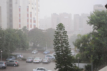 גשם בבאר שבע (צילום: הרצל יוסף) (צילום: הרצל יוסף)