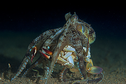 צילום: דני וינברג