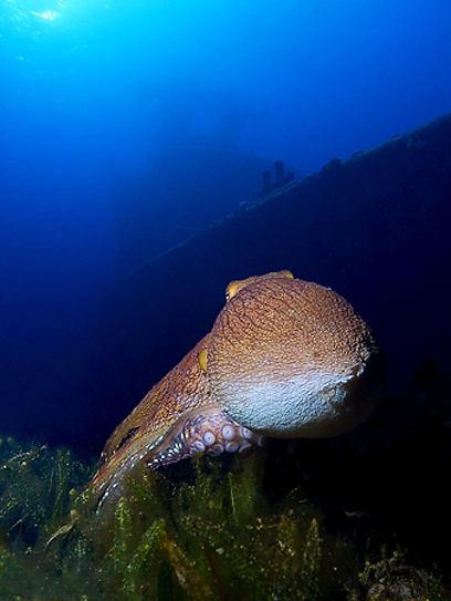 צילום: דני וינברג