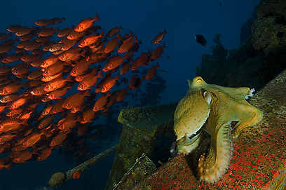 צילום: דני וינברג
