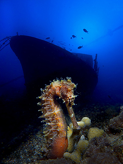 צילום: דני וינברג