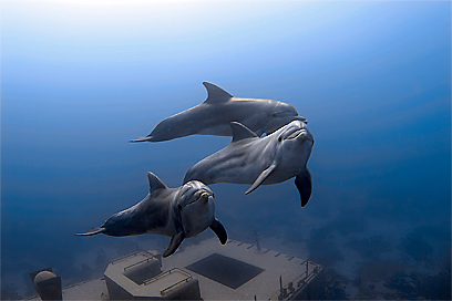 צילום: דני וינברג