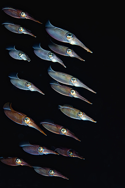 צילום: דני וינברג