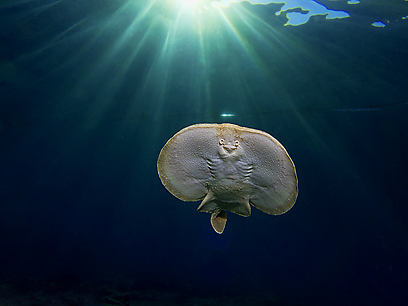 צילום: דני וינברג