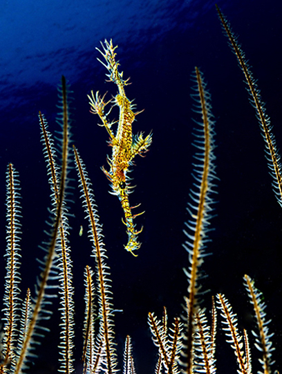 צילום: דני וינברג