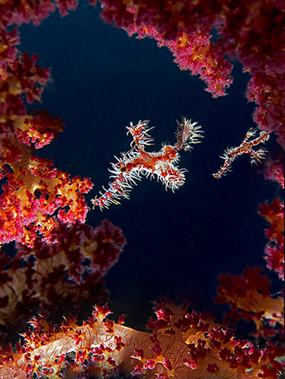 צילום: דני וינברג