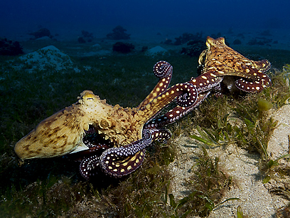 צילום: דני וינברג