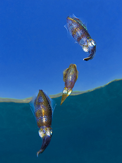 צילום: דני וינברג