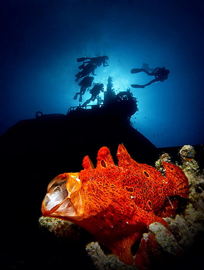 צילום: דני וינברג