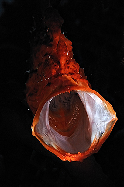 צילום: דני וינברג