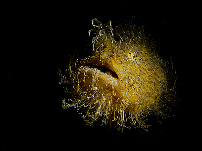 צילום: דני וינברג