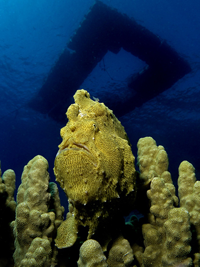 צילום: דני וינברג
