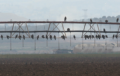 צילום: איתי שמשון