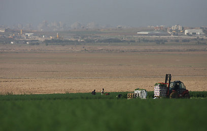 צילום: רועי עידן צילום: רועי עידן