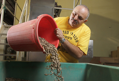 צילום: אלכס קולומויסקי צילום: אלכס קולומויסקי