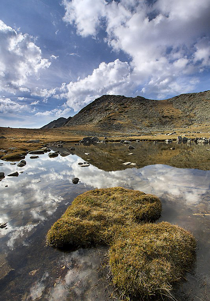 הרי פירין (צילום: תומר רצאבי, גליץ) (צילום: תומר רצאבי, גליץ)