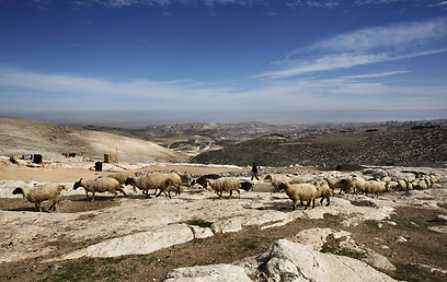 שטח E1 הסמוך לירושלים (צילום: AFP) (צילום: AFP)