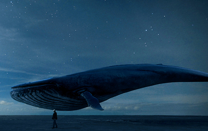 צילום: Rutger Hauer & Sil van der Woerd - Radiator Films