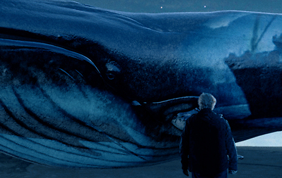 צילום: Rutger Hauer & Sil van der Woerd - Radiator Films